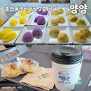 양양종합터미널 화장실 이미지