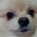 머리못하는집 - 춘천시 춘천로310번길 10 | 머리못하는집