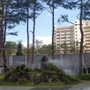 (주)트랜지 네이버블로그