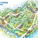강씨봉자연휴양림 이미지