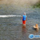 ARA행정사무소 이미지