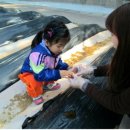 하나린유치원 이미지