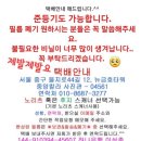 중앙칼라 이미지