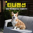 티나펜션 | 경기도 애견동반 숙소 - 용인독채펜션 티나펜션에서 힐링