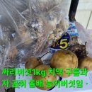 백두오리