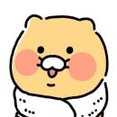 패트릭스