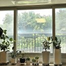 신정네거리공인중개사사무소 이미지