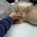 제이병원 이미지