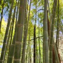 안창약수터 이미지