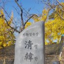 새땅농장 네이버블로그