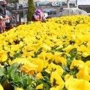 관수경로당 이미지