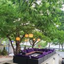 에브리선데이 커피 이미지