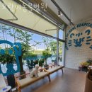 호랑이 동물병원 이미지