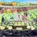 조공시장 이미지