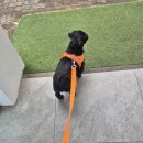 무무유치원 | 무무의 2월, 3월