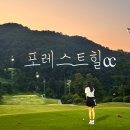 힐냥이 | 포레스트힐cc 야간라운드 후기
