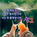 오늘 함께 네이버블로그