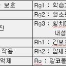 부승개발