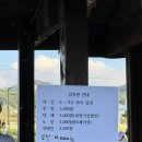 봉평메밀밭 | 2024 봉평 메밀꽃 축제 후기 (평창 효석 문화제)