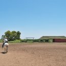 광은농장 이미지