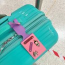 다함약국 | 에어인디아 비지니스 클래스 후기 방콕-뉴델리-암스테르담 (아시아나 마일리지 발권)