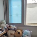 영선노래방 | 내가 좋은 시선으로 세상을 바라보면 가장 행복해지는건 나 자신