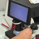 신흥화장품 | [성남/신흥역] 올가드림뷰티 성남신흥점 - 모공디톡스 관리 후기