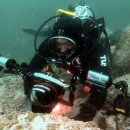 송미목장 이미지