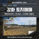 인천광역시 강화군 선원면사무소 이미지