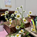 다움수학교습소 - 과천시 별양로 28 | 다움수학교습소