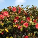 북부권 코스 이미지