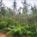 영부농장 이미지