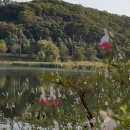 백운행정사사무소 이미지