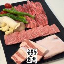 광주 용봉동 고깃집 화백 한우와 한돈을 한번에!