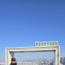 정들러
