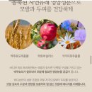 약산성 샴푸 추천 바디브 메종드 팰리스 샴푸, 트리트먼트 후기