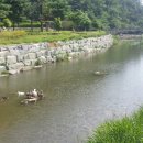 용두공원 이미지