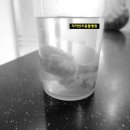 온천동물병원 이미지