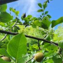 백천농장 이미지