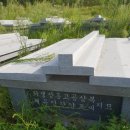 고금면-5 이미지