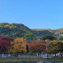 갓바위숯불구이 이미지