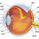 (주)생물나라 이미지