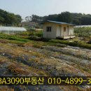 후겸농장 Daum카페
