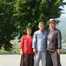 벌꿀농장 이미지