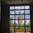 GS25 고색산단 | 일상기록(feat. 11월 첫째주)