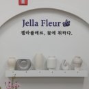 젤라플레르