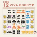 도기도기 | 구미애견유치원 비바도기 산동점 찐 후기