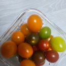 브니엘농장 이미지