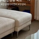 스테이 콘티고