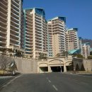 엠티(M.T) 이미지